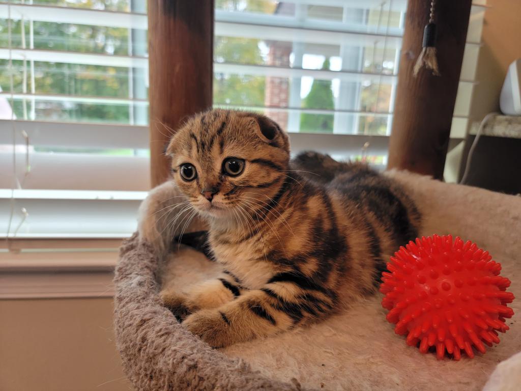 Barbara photo 21