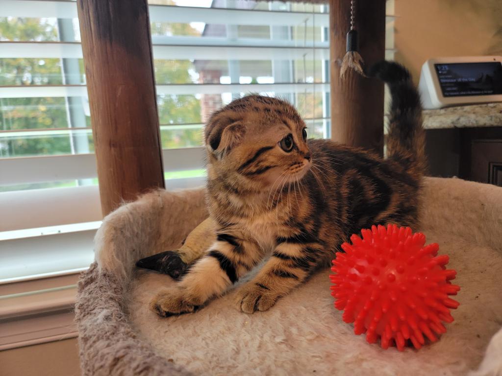 Barbara photo 18