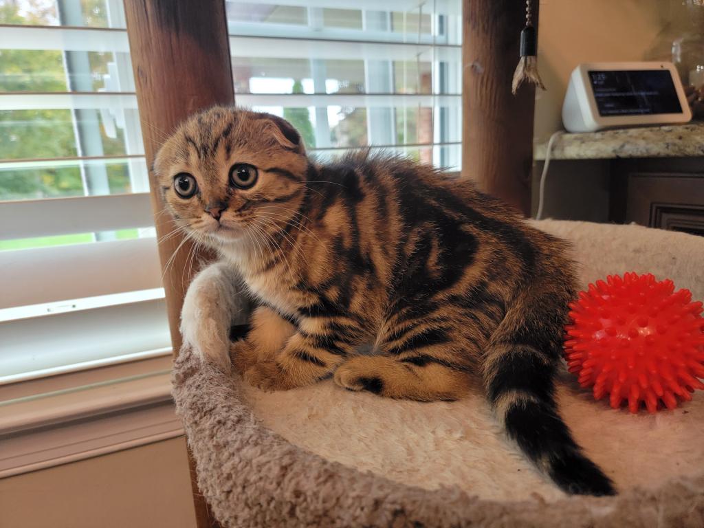 Barbara photo 22