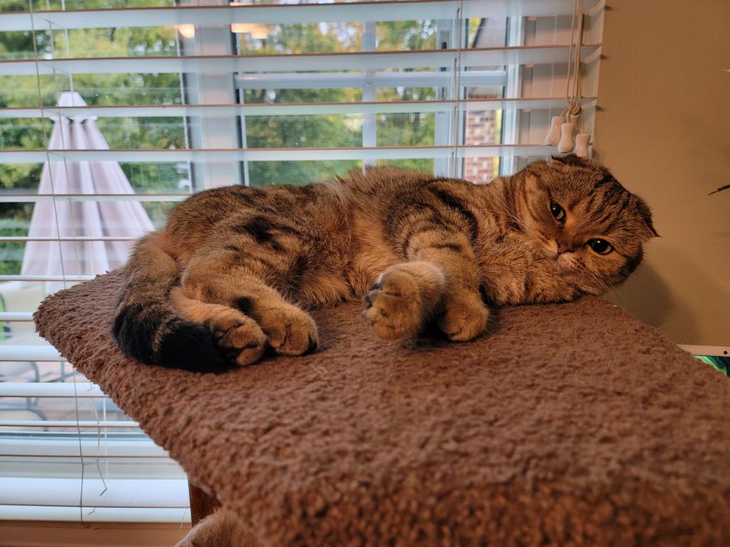 Barbara photo 2