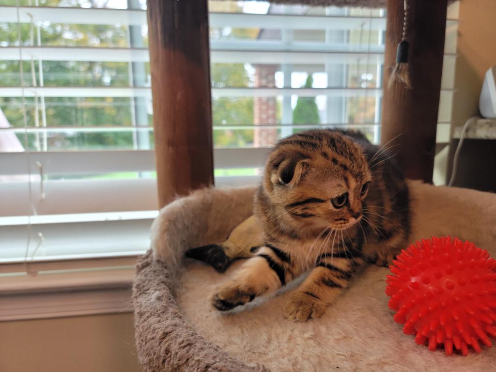 Barbara photo 19