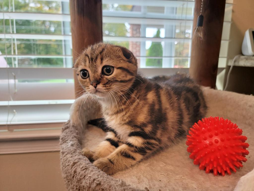 Barbara photo 20