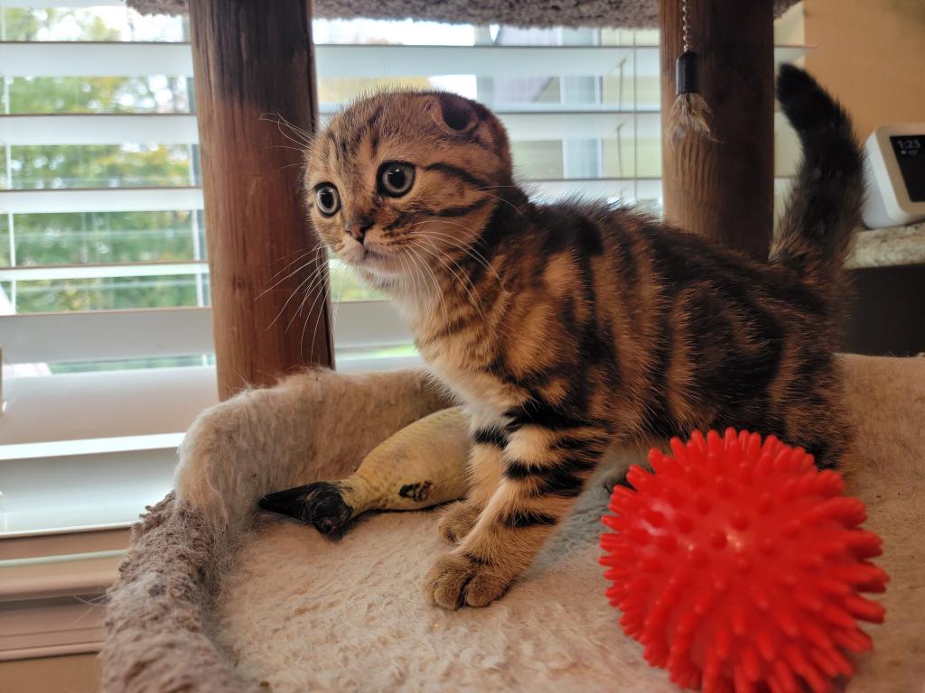 Barbara photo 14
