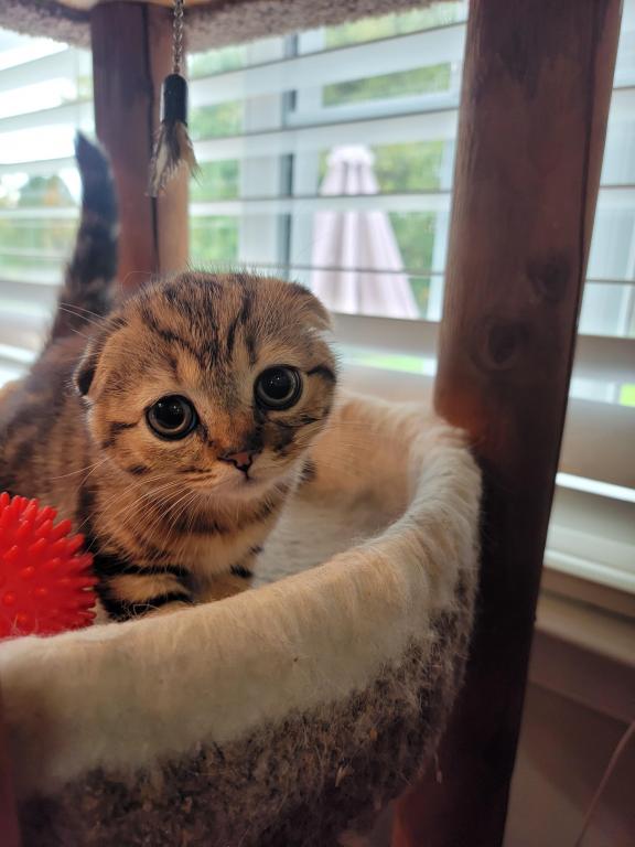 Barbara photo 26