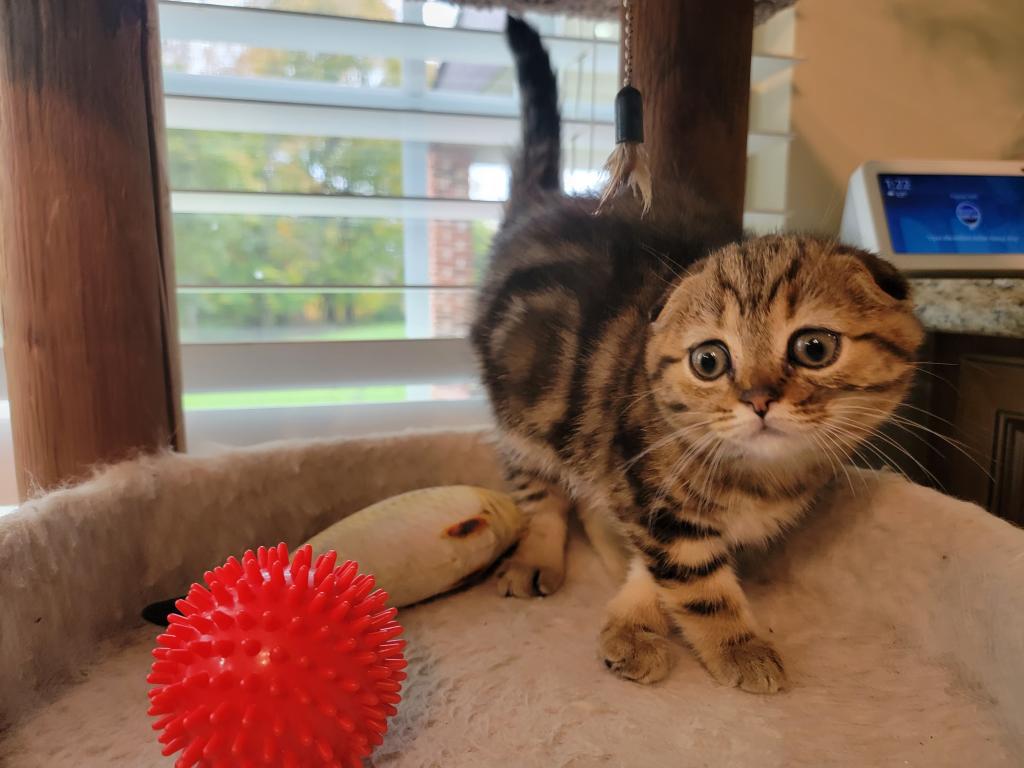 Barbara photo 29