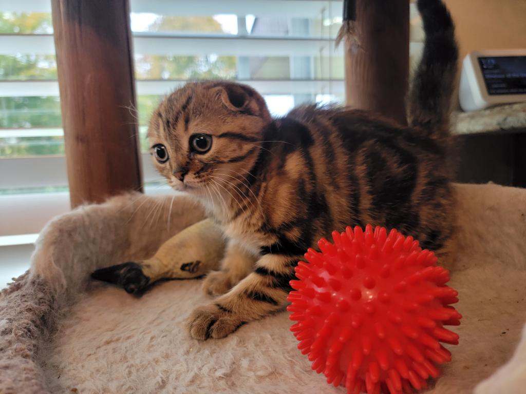 Barbara photo 16