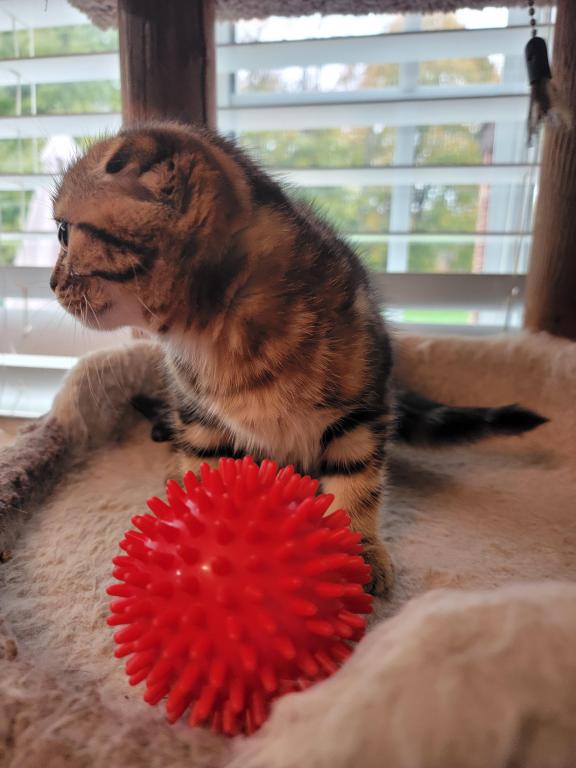 Barbara photo 28