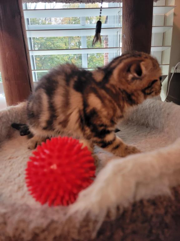 Barbara photo 27