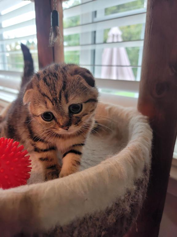 Barbara photo 24