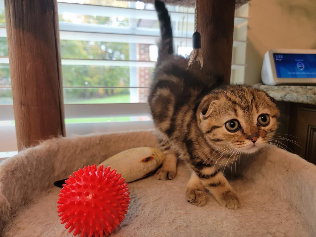 Barbara photo 31