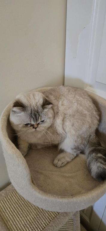 JASMINE photo 15