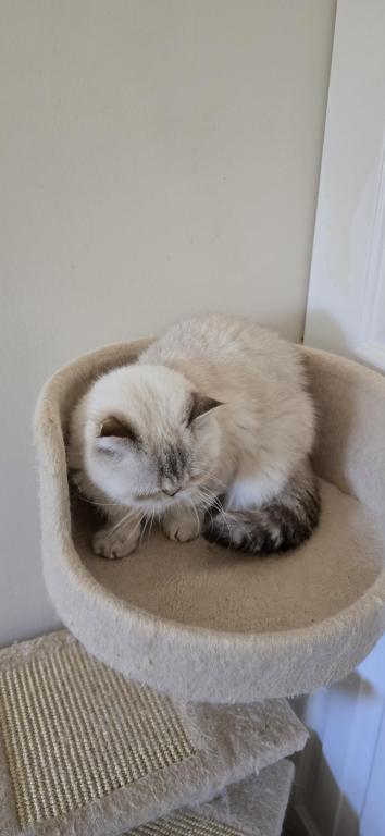 JASMINE photo 4
