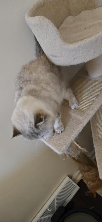 JASMINE photo 19