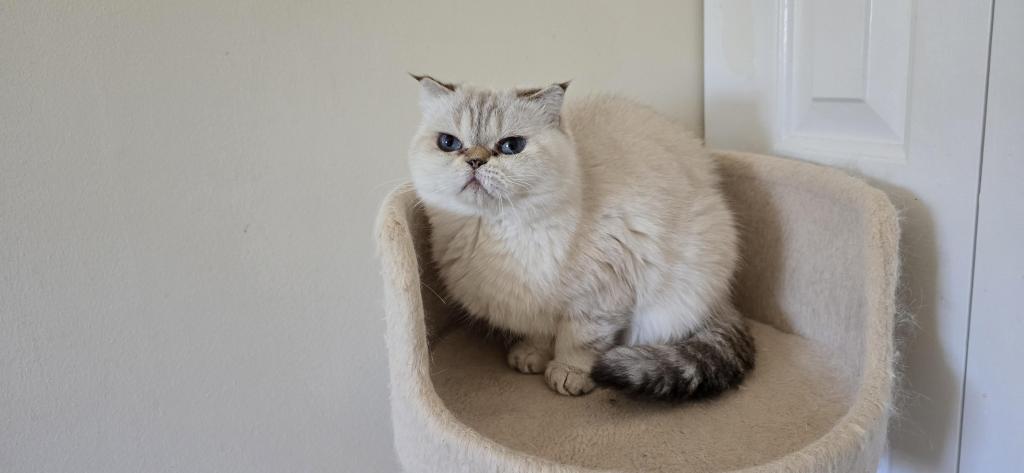 JASMINE photo 5