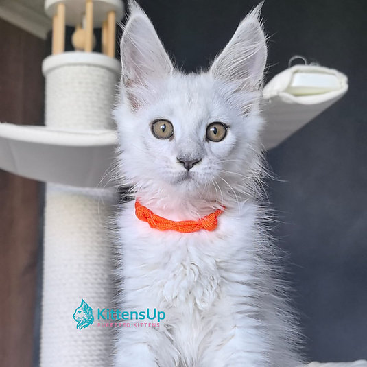 Ulina photo 2