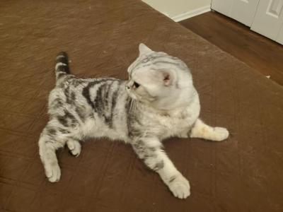 Barbara Litter photo 9