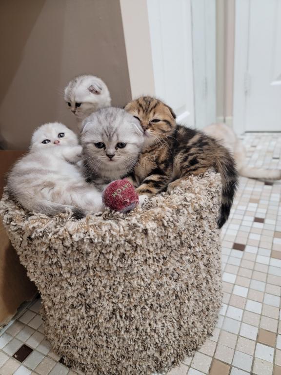 Barbara Litter photo 34