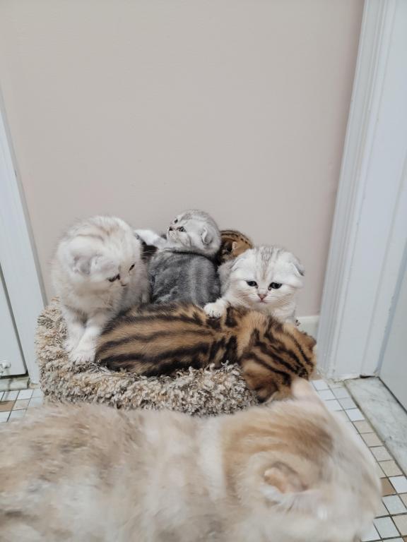 Barbara Litter photo 15