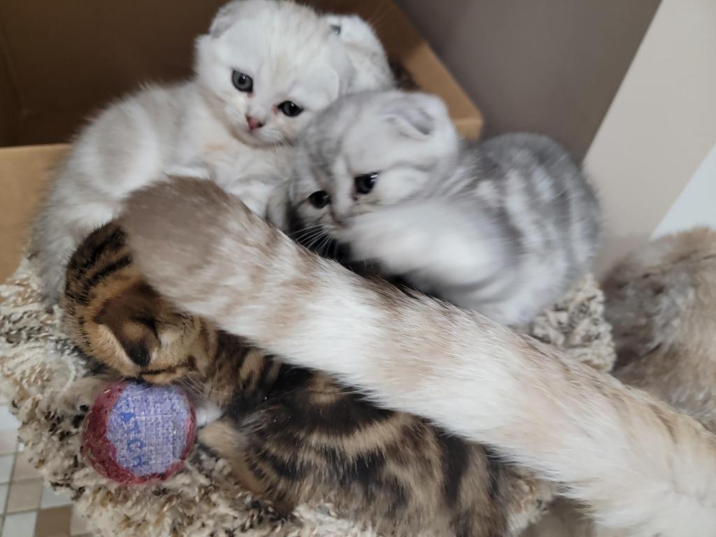Barbara Litter photo 29