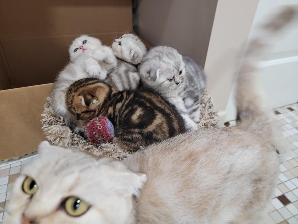 Barbara Litter photo 24