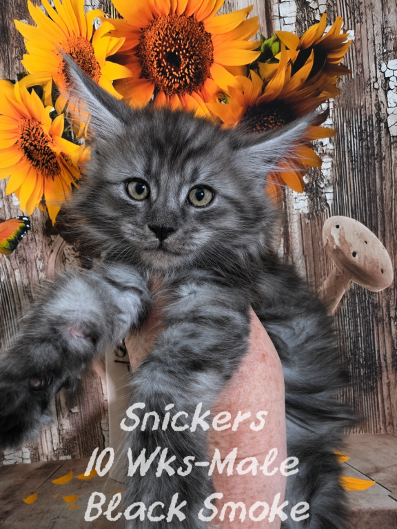 Snickers