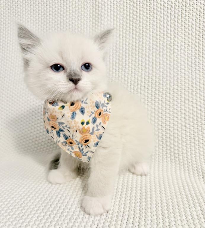 Peaches photo 2