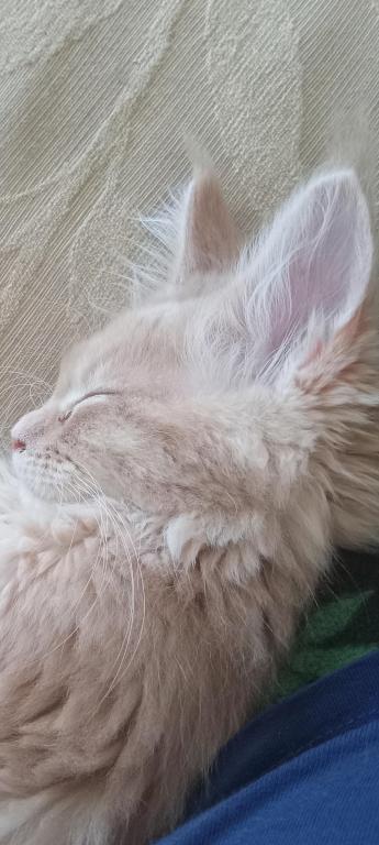 Fiona photo 4