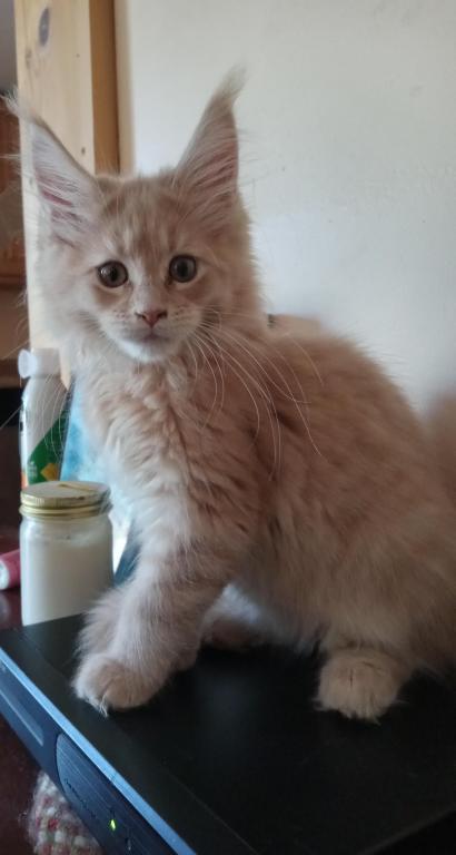 Fiona photo 2