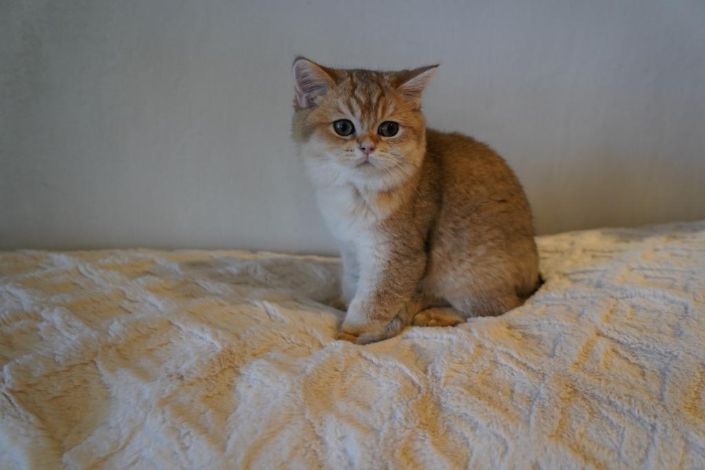 Gina photo 2