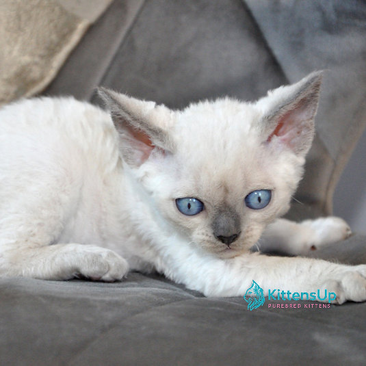 Agatha photo 3