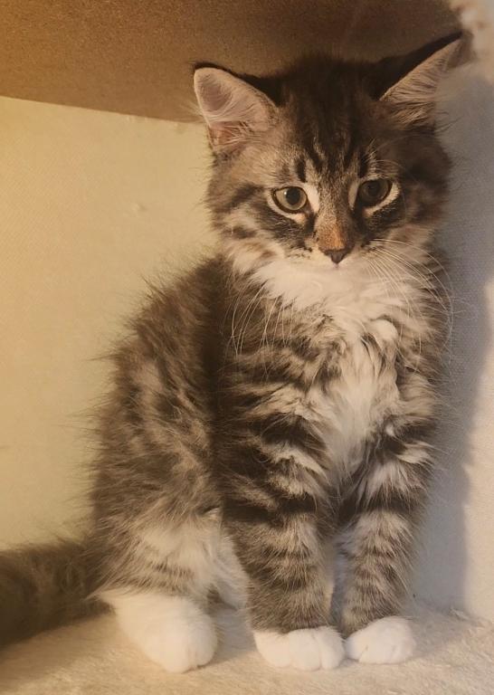 Winston photo 2