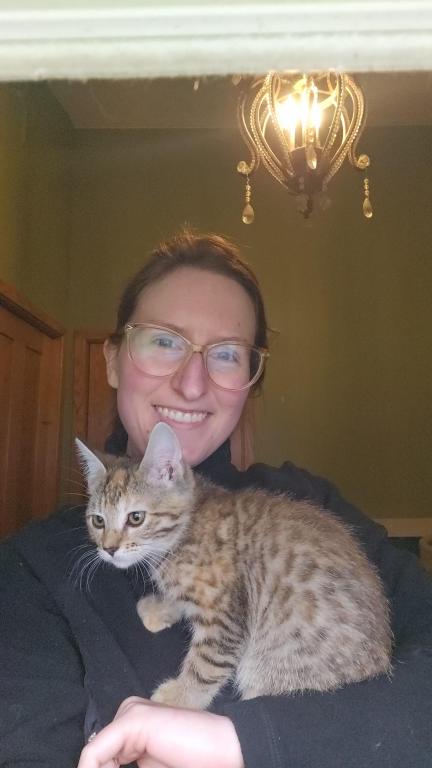 Bengal Kittens Vaccinated Payment Plans Available photo 21
