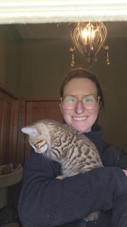 Bengal Kittens Vaccinated Payment Plans Available photo 19