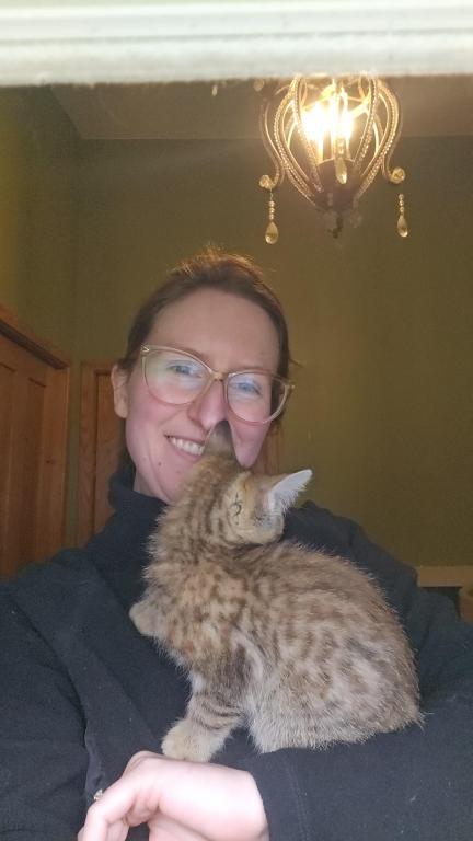 Bengal Kittens Vaccinated Payment Plans Available photo 14