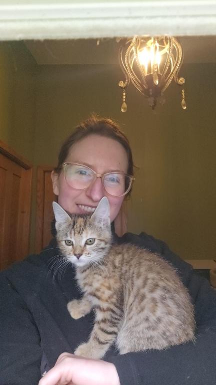 Bengal Kittens Vaccinated Payment Plans Available photo 10