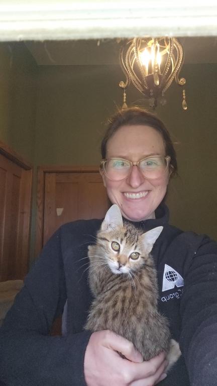 Bengal Kittens Vaccinated Payment Plans Available photo 23