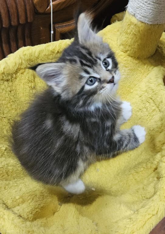 Keeley Litter photo 2