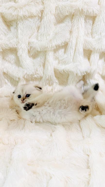 YUKI photo 4