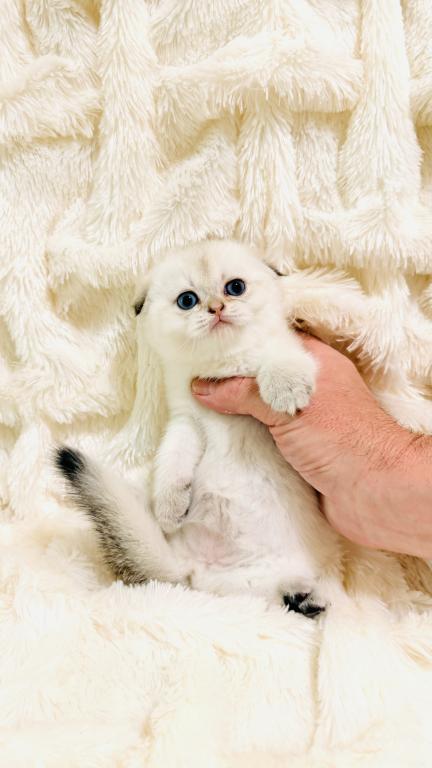 YUKI photo 5