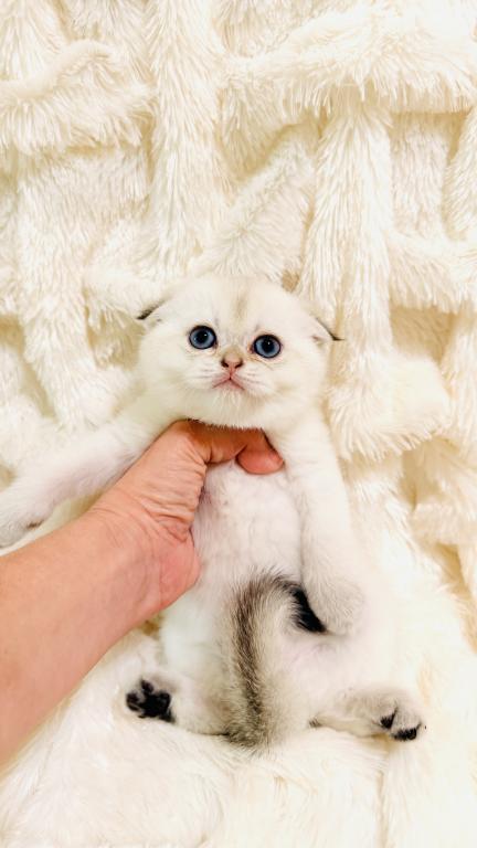 YUKI photo 2