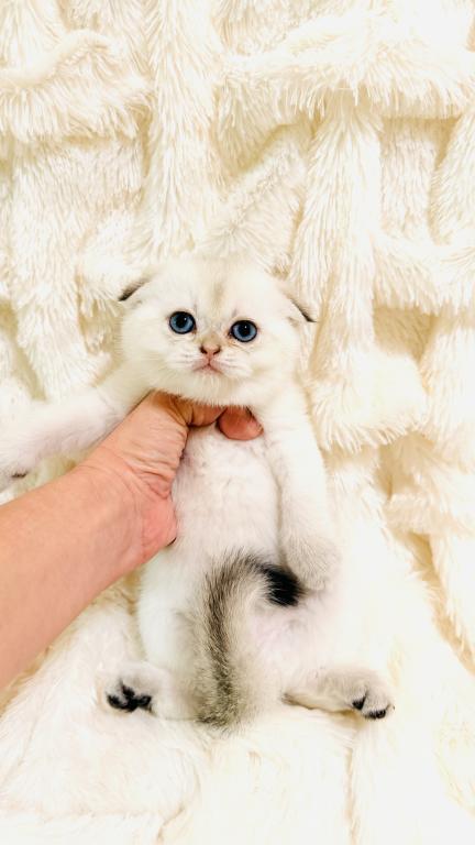 YUKI