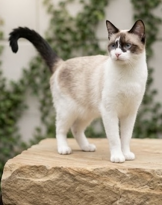 Priscilla photo 1