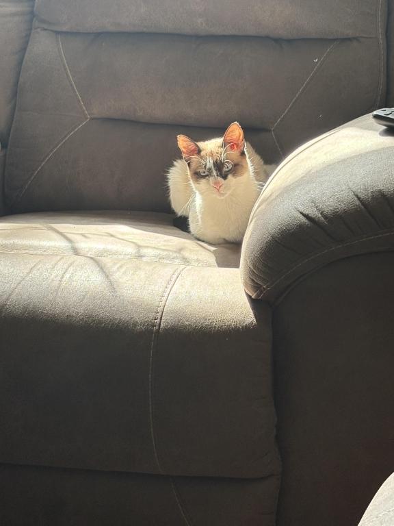 Priscilla photo 2