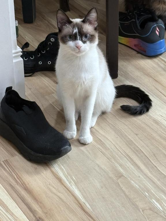 Priscilla photo 3