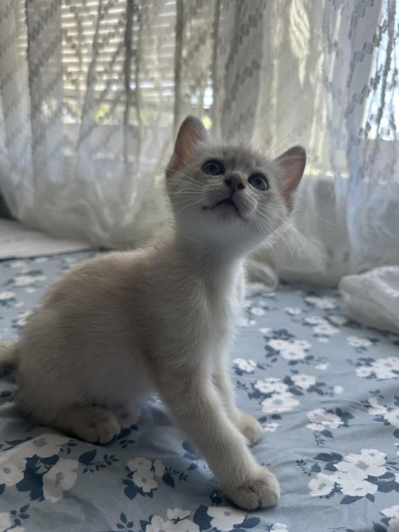 Luna photo 2