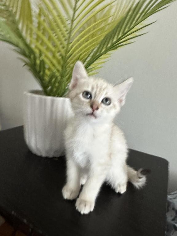 Luna photo 3