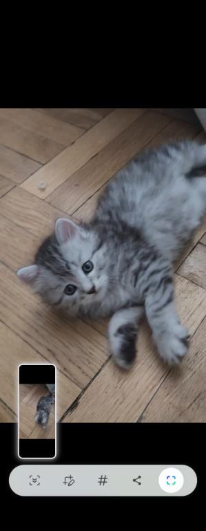 Xena photo 9