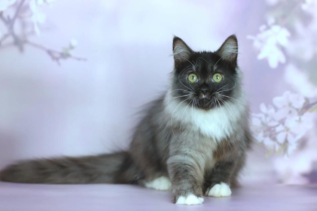 Elsa photo 4