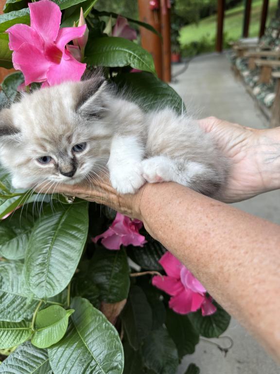Lovable photo 2