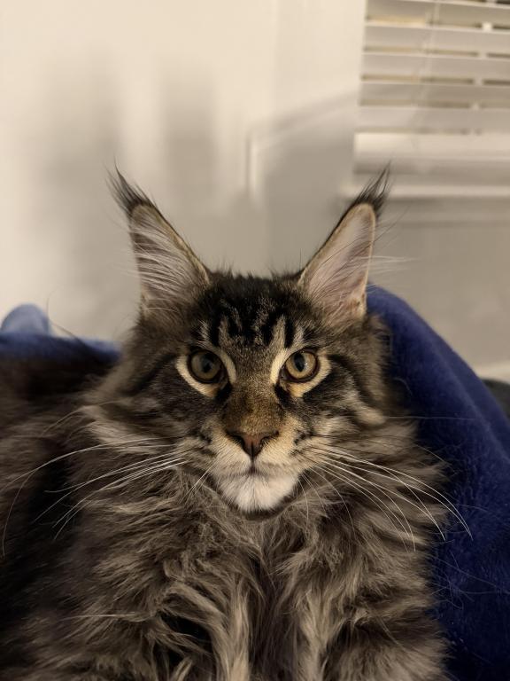 Benny
